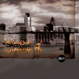 Burning Up by Skream