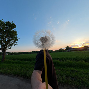 Sommerlicht by cydow