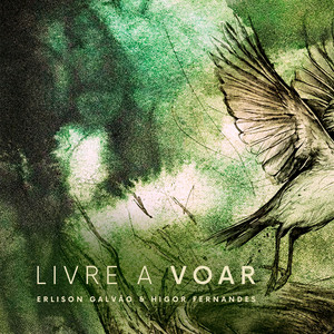 Livre a Voar by Erlison Galvão, Higor Fernandes