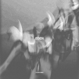 Clear Mind by Eden