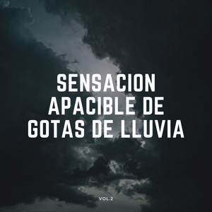 Sensación Apacible De Gotas De Lluvia Vol. 2 album