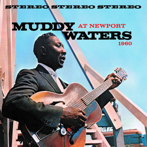 At Newport Muddy LP Waters 洋楽 1960