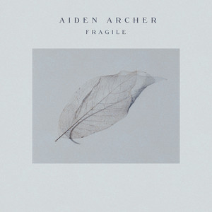 Fragile by Aiden Archer