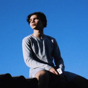 Visio - I Can't Help Falling for You