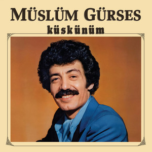 Seni Yazdım
