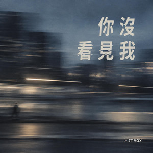 你沒看見我 by JT VOX