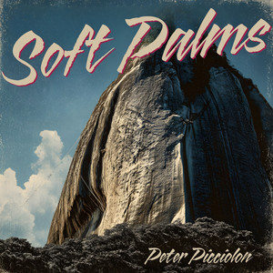 Soft Palms by Peter Picciolon