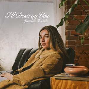 I'll Destroy You by Jamison Belushi