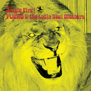 洋楽 HEAT! PUCHO and the Latin Soul Brothers Pucho And The Latin Soul Brothers – Heat! | Releases | Discogs