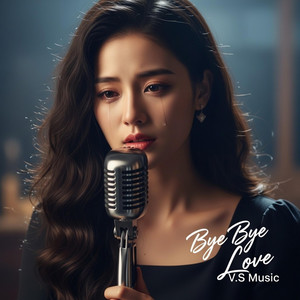 Bye Bye Love by V.S Music