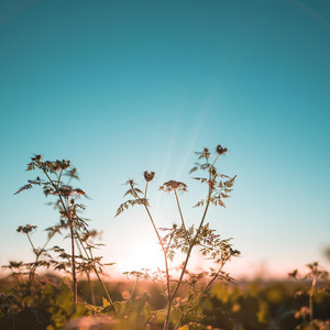 FEEL SOUND - Morning Vibe