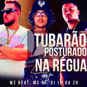 Tubarão Posturado na Régua
