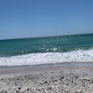 KING FREDDYLICIOUS - FREE THROW