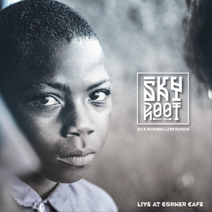 Skyroot (Live at Corner Café) [Live]