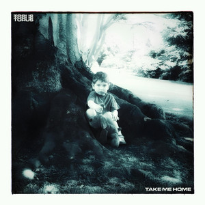 Take Me Home by Torus