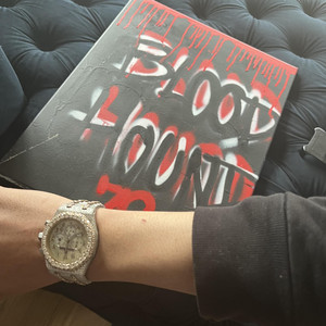 Spinning by Bloodhound Singo, Bloodhound Lil Mari