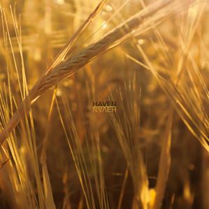 Haven by Horatio Stollmeyer