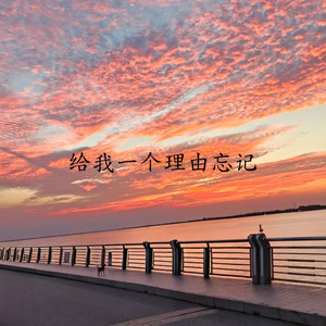 给我一个理由忘记 by 云汐
