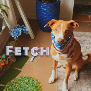 Fetch by Barabbas