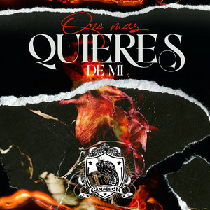 Que Mas Quieres De Mi