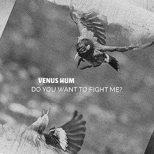 Do You Want to Fight Me? by Venus Hum