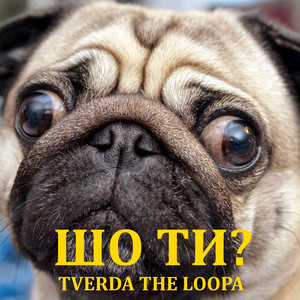ШО ТИ?