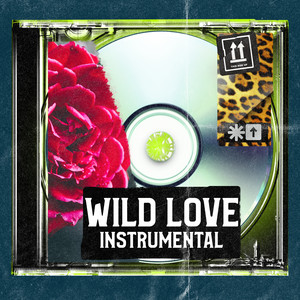 Wild Love by Hustler Mind Music