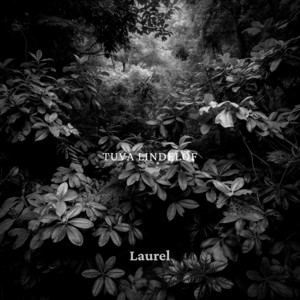 Laurel by Tuva Lindelöf