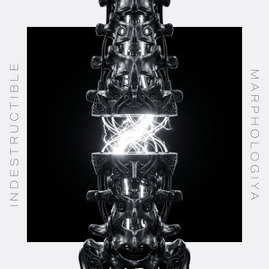 Indestructible by Marphologiya