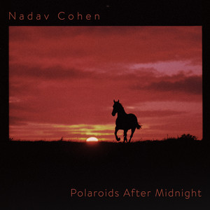 Bitter Sweet Symphony by Nadav Cohen