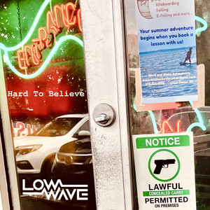 Hard to Believe by Low Wave