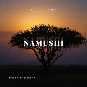 Zee Cosmo - Namushi (feat. Kwaito Lager)