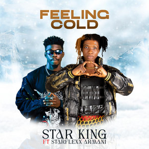 Feeling Cold (feat. Starflexx Armani)