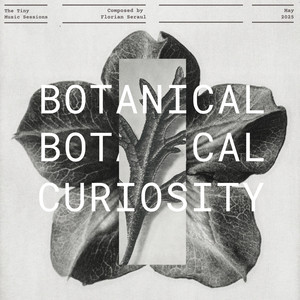 Botanical Curiosity by Tiny Music, Florian Seraul