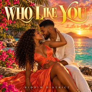 Who Like You by Riddim District