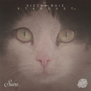 Voyage - Original Mix by Victor Ruiz