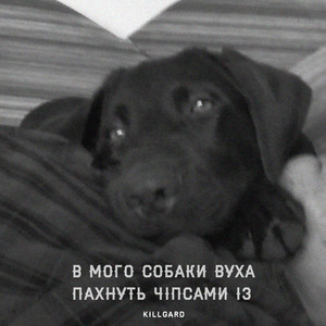 KillGard — В мого собаки вуха пахнуть чіпсами із