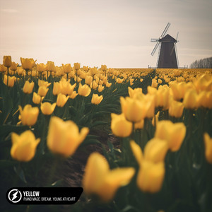 Yellow (Slowed & Reverb)