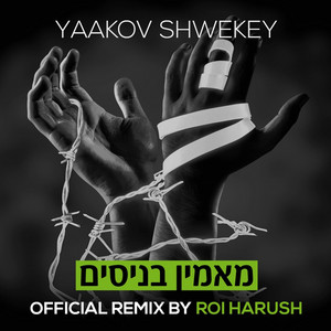 Maamin Benisim - Roi Harush Remix by Yaakov Shwekey, Roi Harush