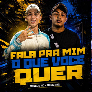 Fala Pra Mim O que Você Quer