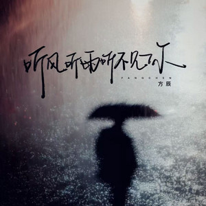 听风听雨听不见你 - 伴奏 by 方辰