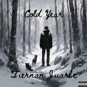 Tiernan Juarbe - No More Lies