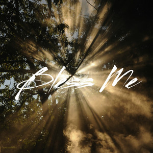 Bless Me by Heddy boss, Shatta Wale