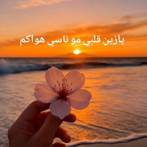 Mazij - يازين قلبي مو ناسي هواكم