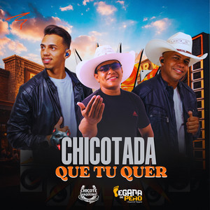 Chicotada que tu quer by Chicote de vaqueiro, Pegada de Peão