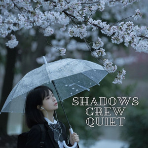 Shadows Grew Quiet
