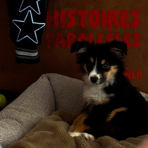 La fin d'une histoire by NLR