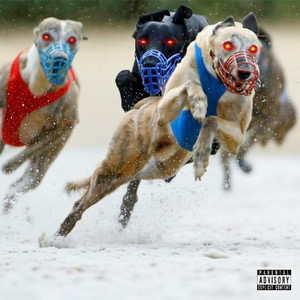 Greyhound by One Face