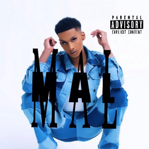 MalTheeBoss - Conceited (feat. Polo Baybee)