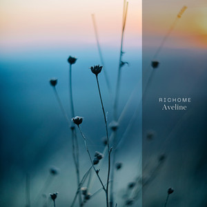 Aveline by Richome